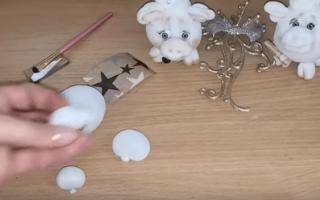 „Pasidaryk pats“ žaislai iš pėdkelnių Kaip pasidaryti amatus iš nailono